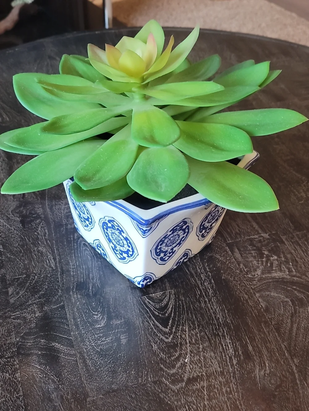 Artificial Succulent Plant in Blue and White Ceramic Pot - Unbranded
